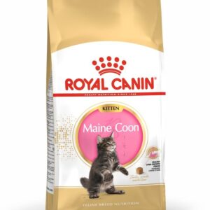 Royal Canin FBN kassitoit Maine Coon tõugu kassipoegadele 2kg