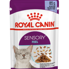 Royal Canin FHN tunnetusi ergitav konserv kastmes kassidele 12x85g