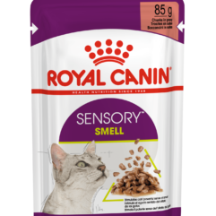 Royal Canin FHN lõhnameeli ergutav konserv kastmes kassidele 12x85g