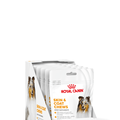 ROYAL CANIN Naha ja karvkatte tugi toidulisandid täiskasvanud koertele 5x240g