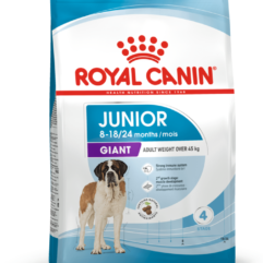 Royal Canin SHN kutsikatoit väga suurt kasvu juunior koertele 15kg