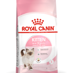 Royal Canin FHN kassitoit kassipoegadele 2kg