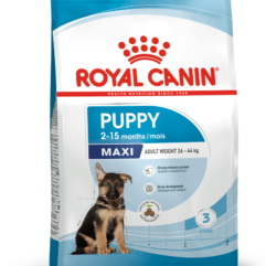 Royal Canin SHN kutsikatoit suurt kasvu kutsikatele 1kg