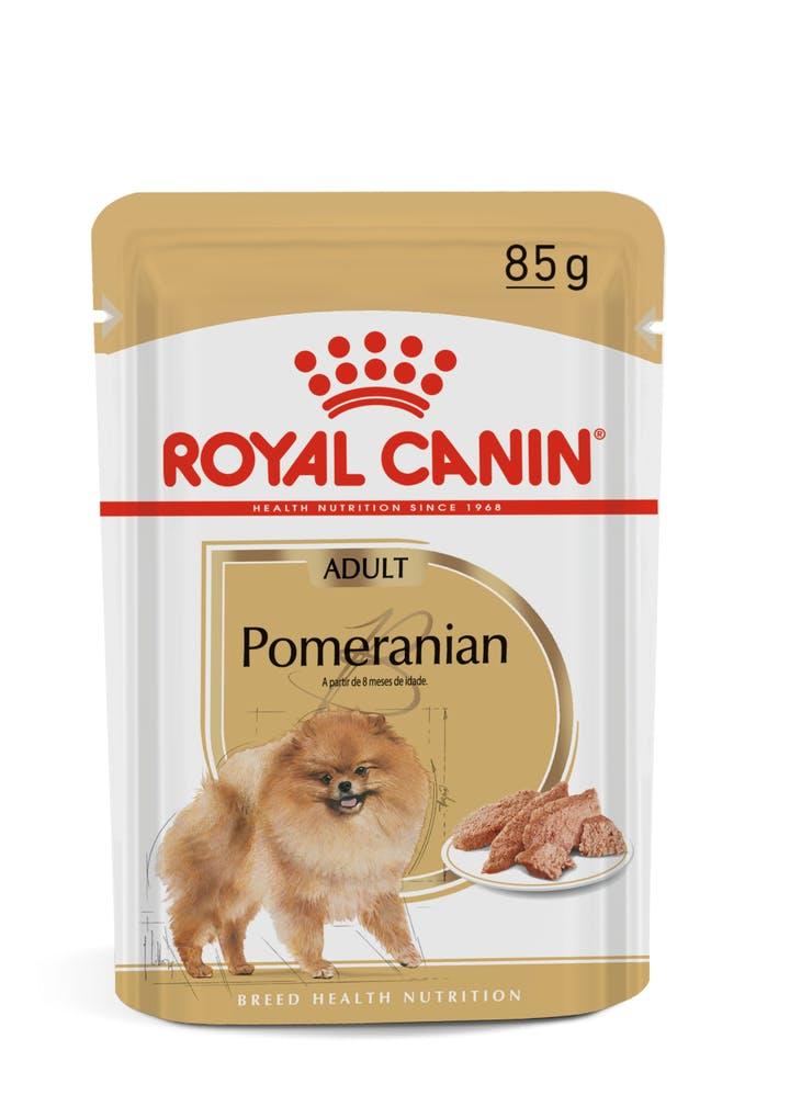 Royal Canin BHN pasteet pomeranianitele 12x85g - Kassidkoerad.ee