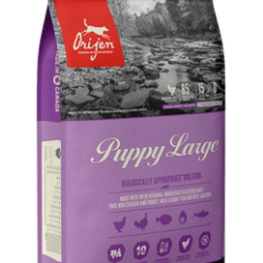 Orijen Puppy Large Breed täissööt suurt ja väga suurt tõugu kutsikatele