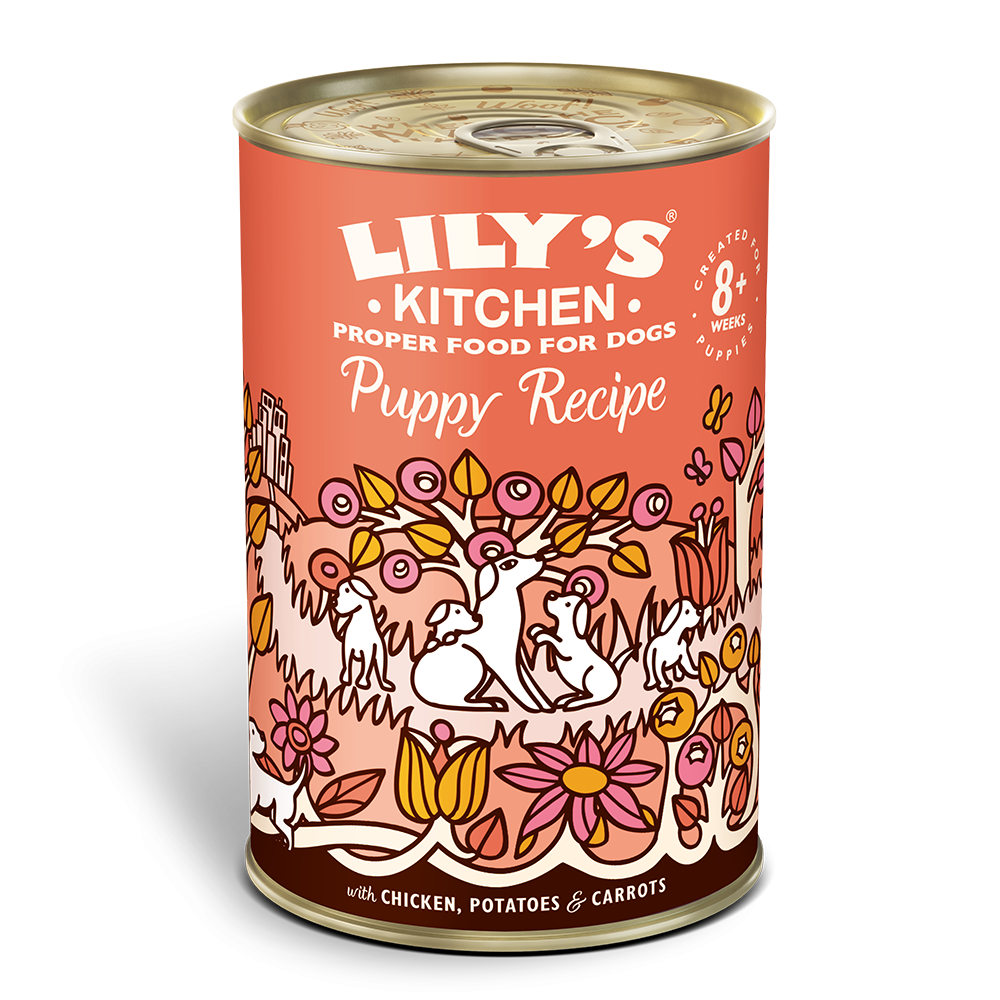 Lily's Kitchen konserv kutsikatele kana- ja pardilihaga 400g