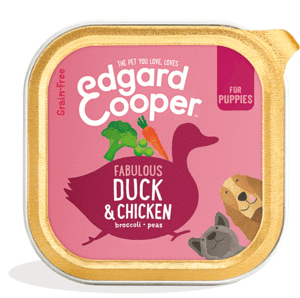 Edgard Cooper konserv kutsikatele kana- ja pardilihaga 150g