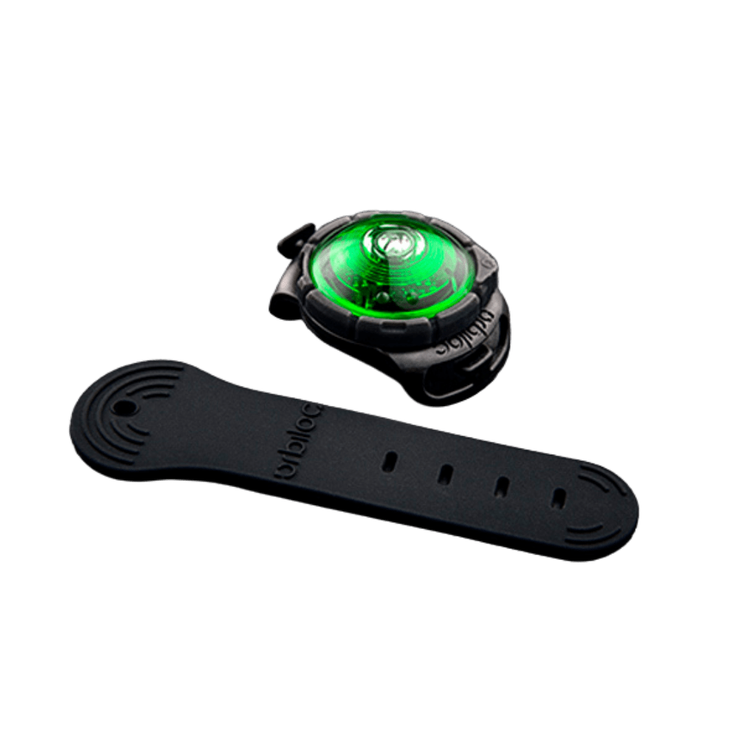 Orbiloc koera LED tuluke Dual roheline