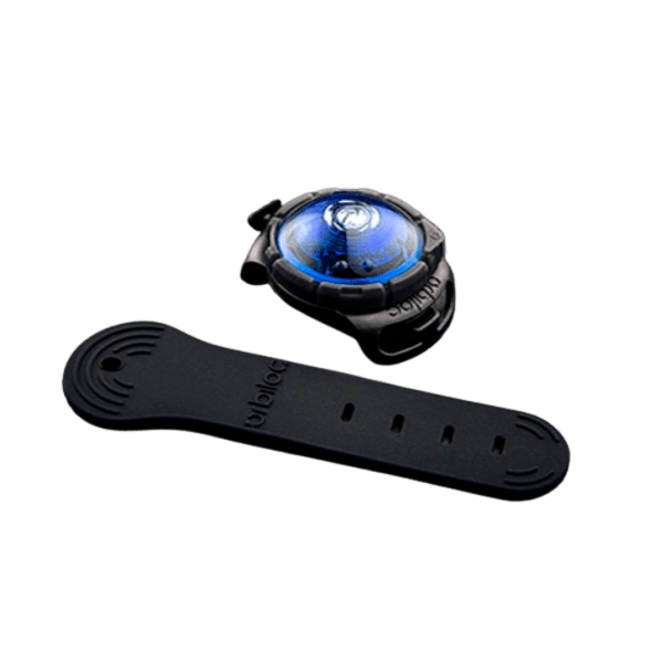 Orbiloc koera LED tuluke Dual sinine