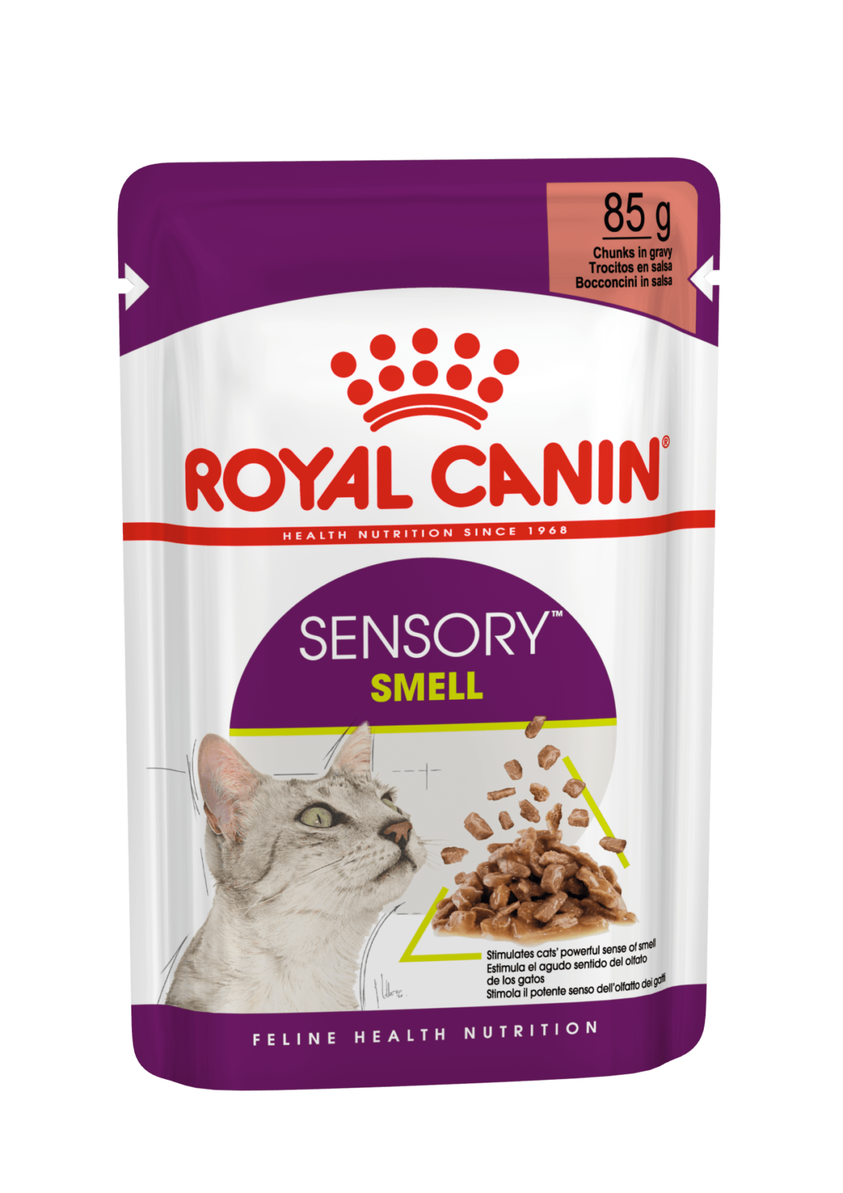 Royal Canin FHN lõhnameeli ergutav konserv kastmes kassidele 12x85g