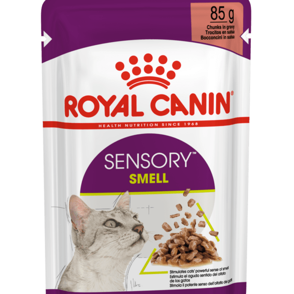 Royal Canin FHN lõhnameeli ergutav konserv kastmes kassidele 12x85g