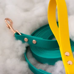 Kullakuu SINAKASROHELINE X KOLLANE jalutusrihm