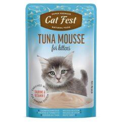 CatFest einekotike tuunikalaga pasteet kassipoegadele