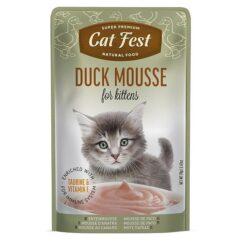 CatFest einekotike pardilihaga pasteet kassipoegadele